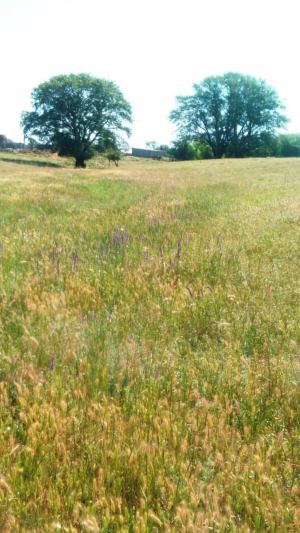 Фото-Квест "Апанасенковье моё родное"