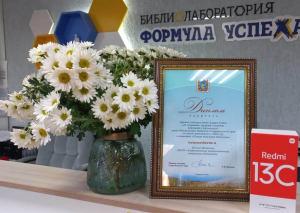 Детская модельная библиотека - победитель краевого конкурса на звание лауреата премии имени Андрея Губина