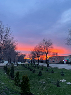 Фото-Квест "Апанасенковье моё родное"