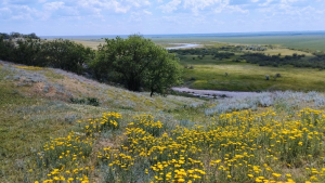 Фото-Квест "Апанасенковье моё родное"