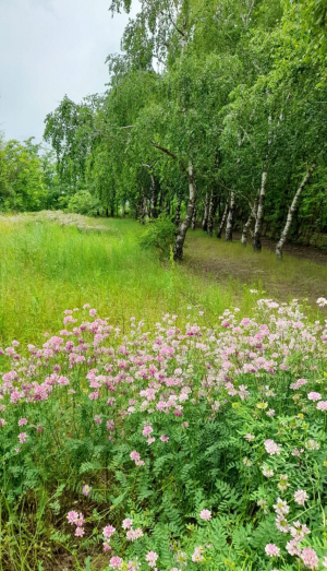 Фото-Квест "Апанасенковье моё родное"
