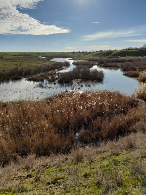 Фото-Квест "Апанасенковье моё родное"