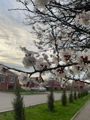 Фото-Квест "Апанасенковье моё родное"